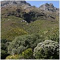 Suedafrika063.jpg