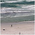 Suedafrika078.jpg