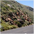 Suedafrika079.jpg