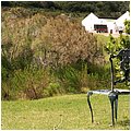 Suedafrika080.jpg