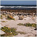 Suedafrika099.jpg