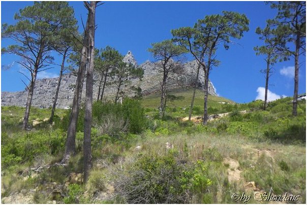 Suedafrika017.jpg