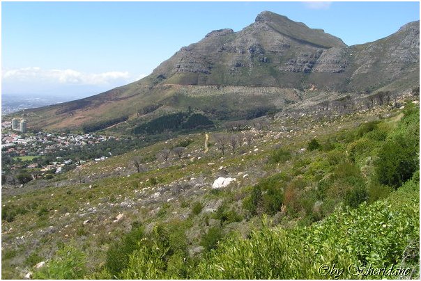 Suedafrika022.jpg