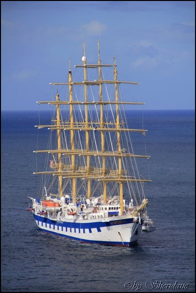 Kitts003.jpg