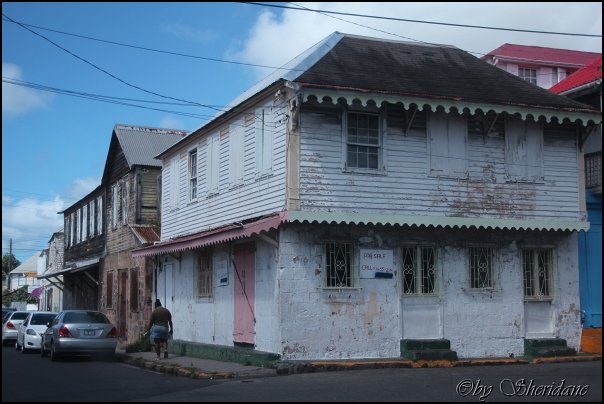 Kitts009.jpg