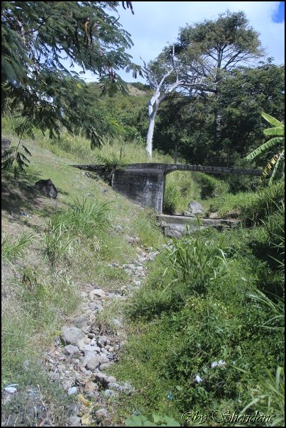 Kitts013.jpg