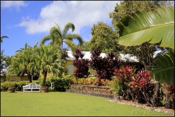 Kitts017.jpg