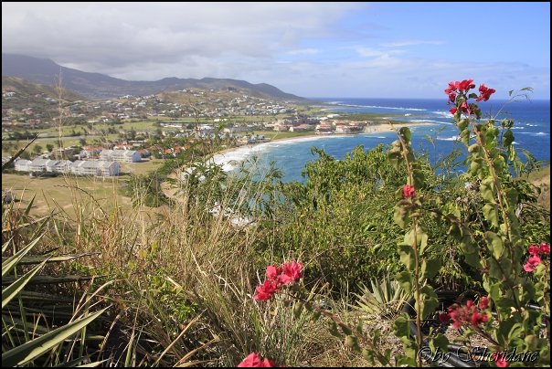 Kitts034.jpg