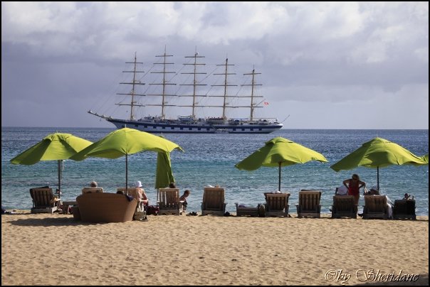 Kitts035.jpg