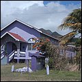 Kitts011.jpg