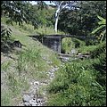 Kitts013.jpg