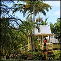 Kitts018.jpg