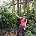 Kitts021.jpg