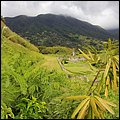 Kitts025.jpg