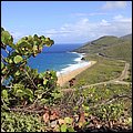 Kitts033.jpg