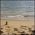 Kitts038.jpg