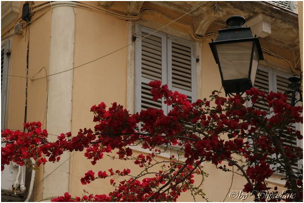 Kerkyra0020.jpg