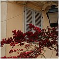 Kerkyra0020.jpg