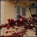 Kerkyra015.jpg