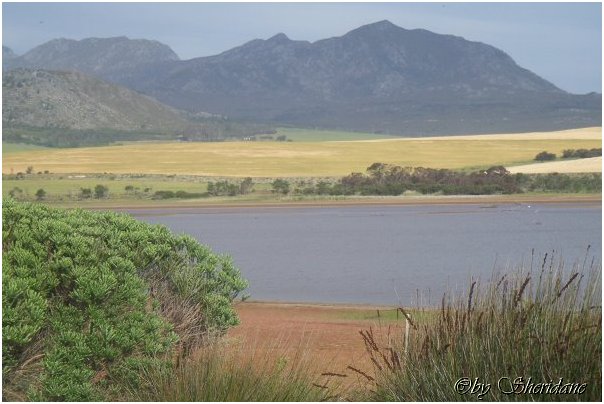 Suedafrika449.jpg