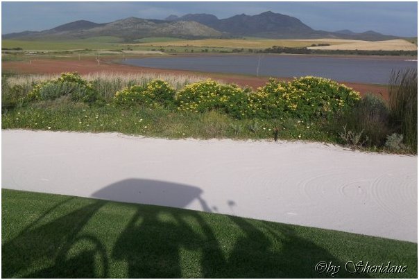 Suedafrika450.jpg