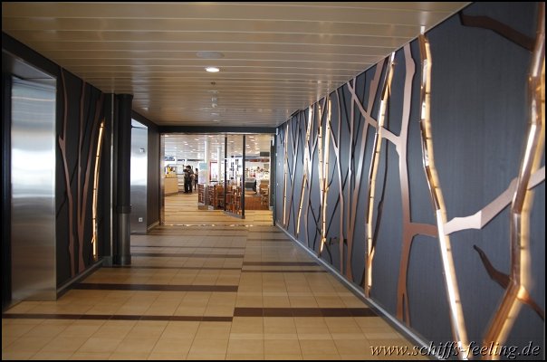 MeinSchiff3031.jpg