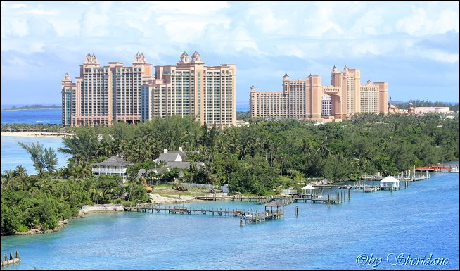 Oasis057.jpg