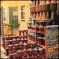 Oasis033.jpg