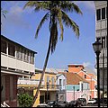 Oasis051.jpg