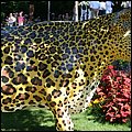 Landesgartenschau017.jpg
