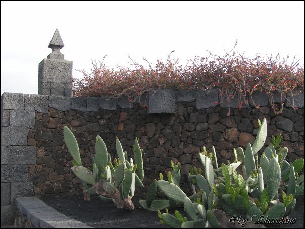 Lanzarote009.jpg
