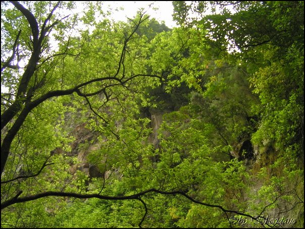 LaPalma007.jpg