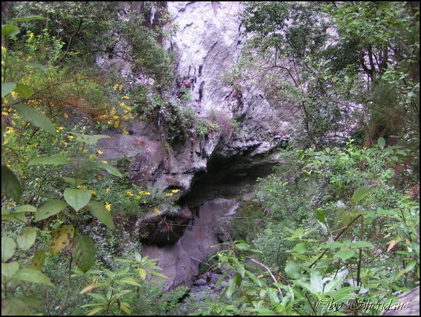 LaPalma009.jpg