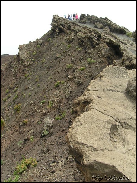 LaPalma036.jpg
