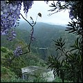 LaPalma002.jpg
