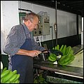 LaPalma016.jpg