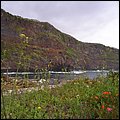LaPalma021.jpg