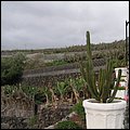 LaPalma027.jpg