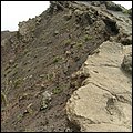 LaPalma036.jpg