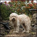 LaPalma042.jpg