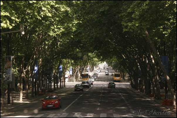 Lissabon019.jpg