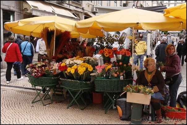 Lissabon038.jpg