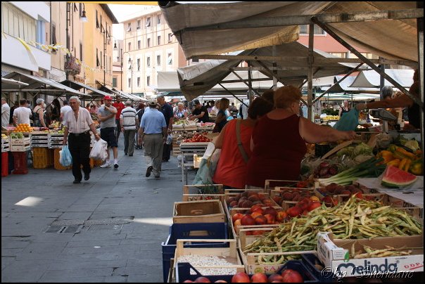 LivornoPisa011.jpg