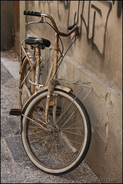 LivornoPisa018.jpg