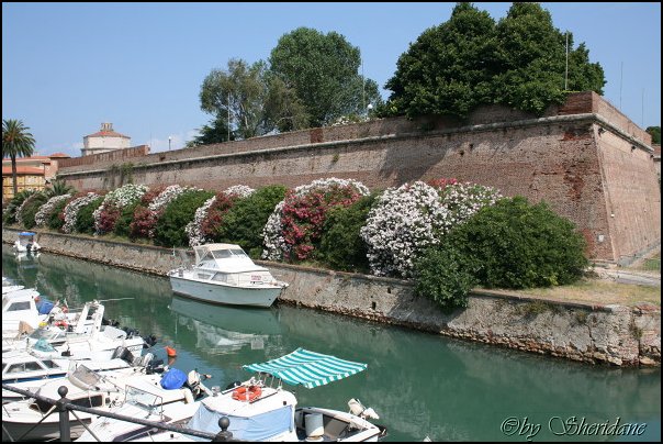 LivornoPisa027.jpg