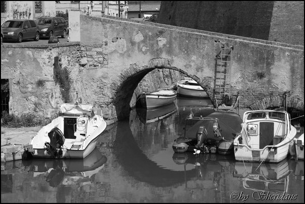 LivornoPisa031.jpg