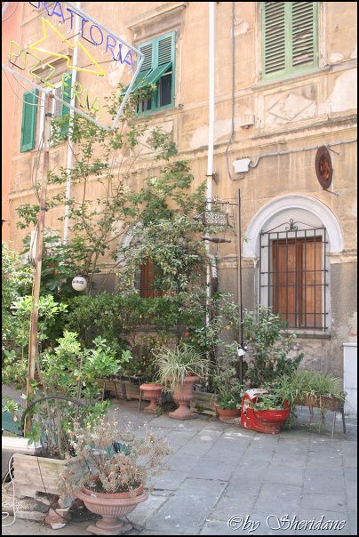 LivornoPisa049.jpg