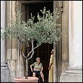 LivornoPisa009.jpg