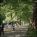 London015.jpg