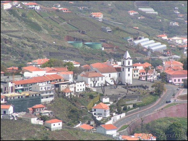 Madeira013.jpg
